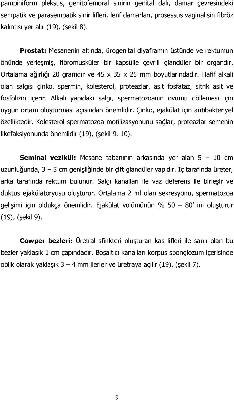 Ortalama ağırlığı 20 gramdır ve 45 x 35 x 25 mm boyutlarındadır. Hafif alkali olan salgısı çinko, spermin, kolesterol, proteazlar, asit fosfataz, sitrik asit ve fosfolizin içerir.