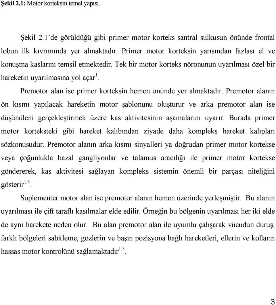 Premotor alan ise primer korteksin hemen önünde yer almaktadır.