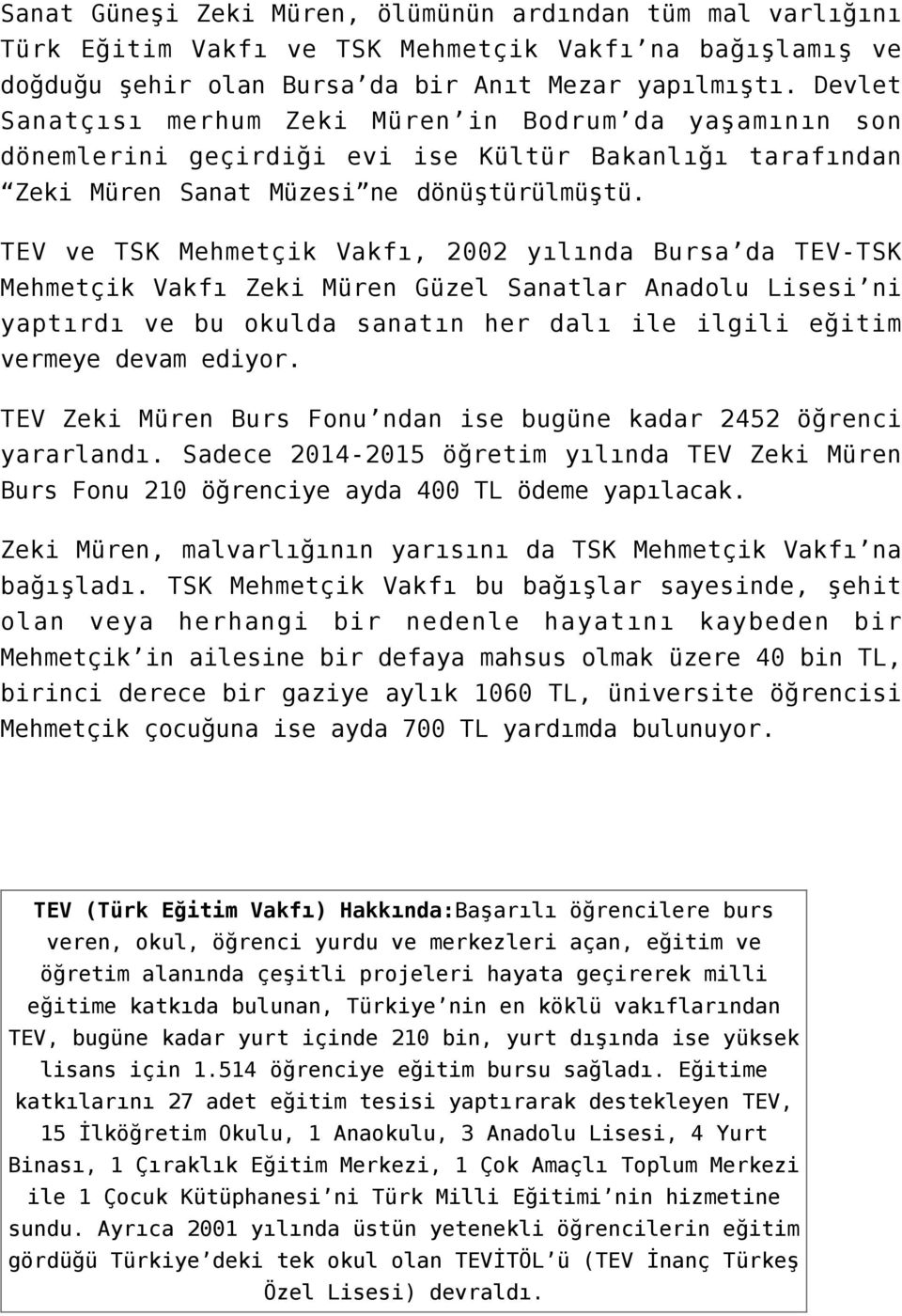 TEV ve TSK Mehmetçik Vakfı, 2002 yılında Bursa da TEV-TSK Mehmetçik Vakfı Zeki Müren Güzel Sanatlar Anadolu Lisesi ni yaptırdı ve bu okulda sanatın her dalı ile ilgili eğitim vermeye devam ediyor.