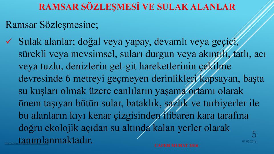 derinlikleri kapsayan, başta su kuşları olmak üzere canlıların yaşama ortamı olarak önem taşıyan bütün sular, bataklık, sazlık ve