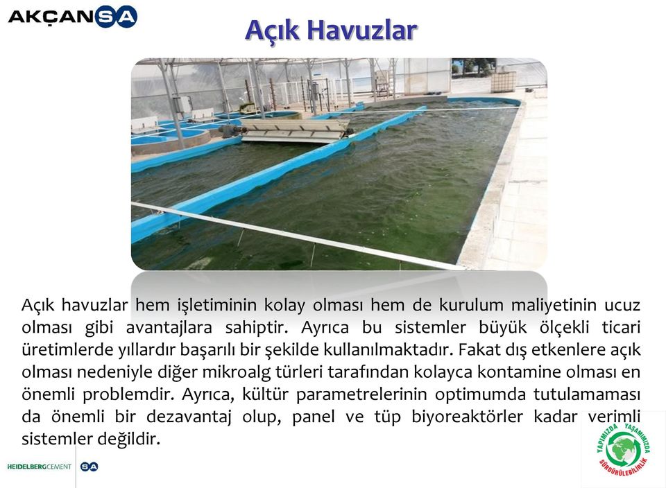 Fakat dış etkenlere açık olması nedeniyle diğer mikroalg türleri tarafından kolayca kontamine olması en önemli problemdir.