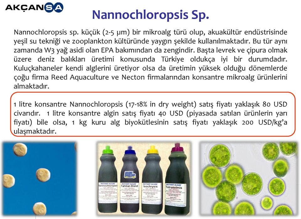 Kuluçkahaneler kendi alglerini üretiyor olsa da üretimin yüksek olduğu dönemlerde çoğu firma Reed Aquaculture ve Necton firmalarından konsantre mikroalg ürünlerini almaktadır.