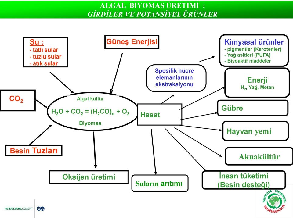 (PUFA) - Biyoaktif maddeler Enerji H 2, Yağ, Metan CO 2 Algal kültür H 2 O + CO 2 = (H 2 CO) n + O 2 Biyomas
