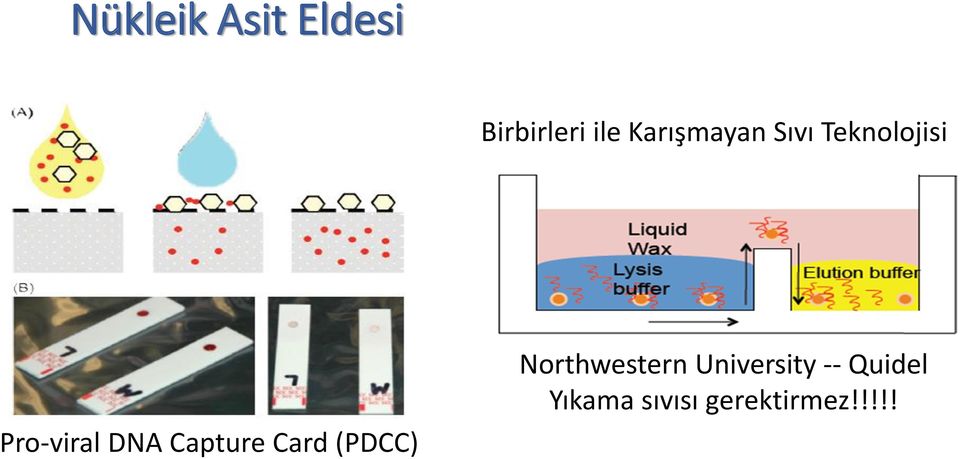 DNA Capture Card (PDCC) Northwestern