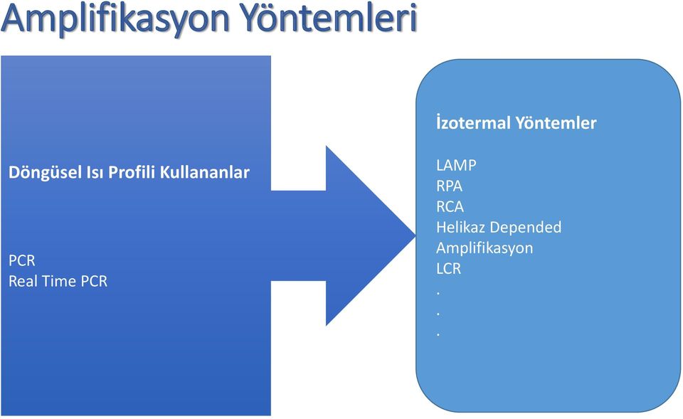 Kullananlar PCR Real Time PCR LAMP