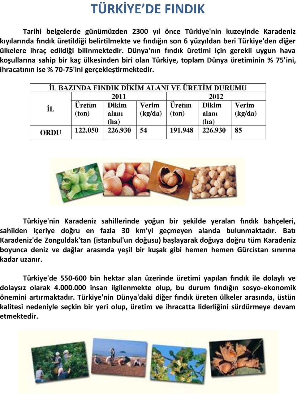 Dünya'nın fındık üretimi için gerekli uygun hava koşullarına sahip bir kaç ülkesinden biri olan Türkiye, toplam Dünya üretiminin % 75'ini, ihracatının ise % 70-75'ini gerçekleştirmektedir.