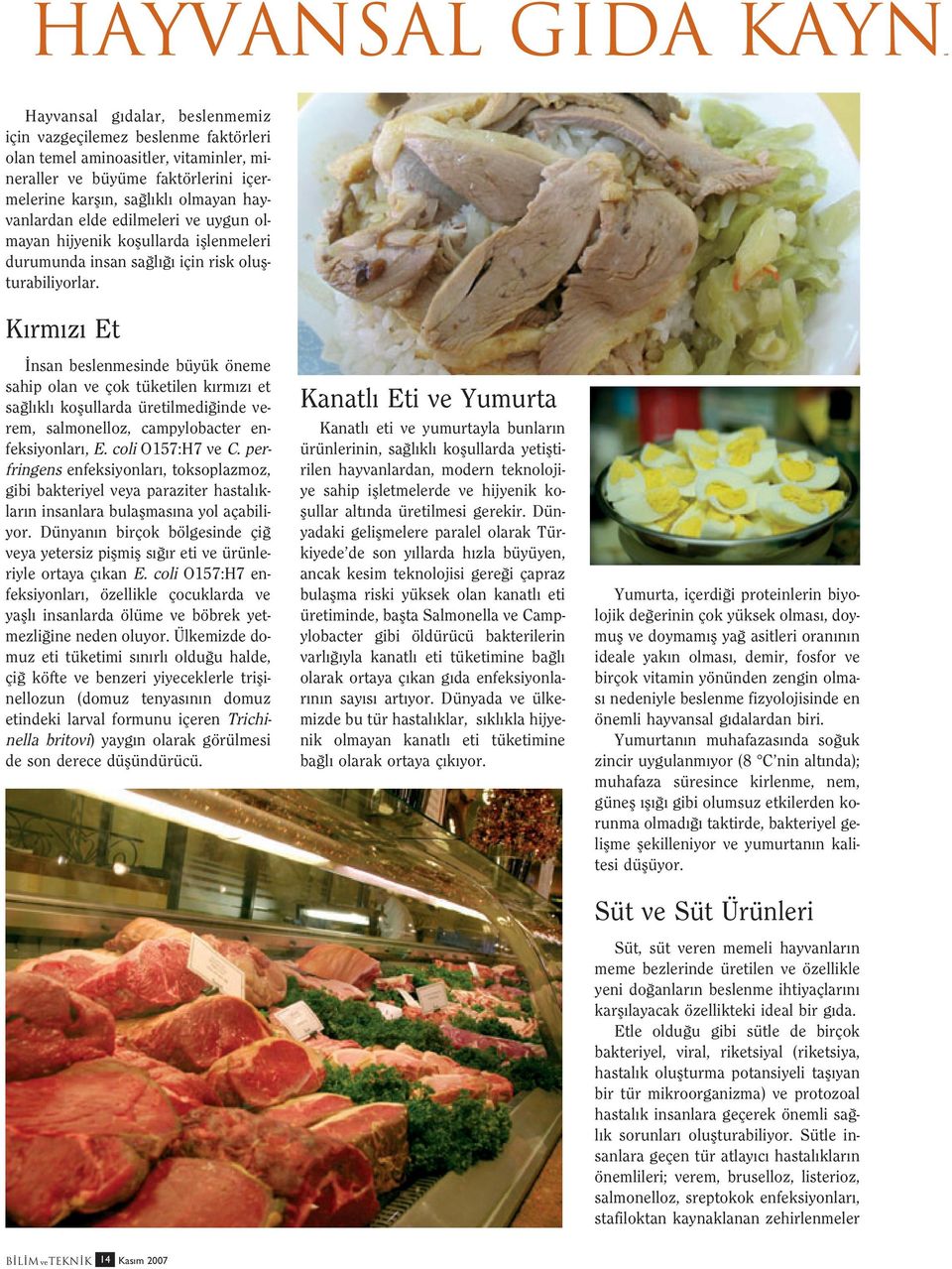 K rm z Et nsan beslenmesinde büyük öneme sahip olan ve çok tüketilen k rm z et sa l kl koflullarda üretilmedi inde verem, salmonelloz, campylobacter enfeksiyonlar, E. coli O157:H7 ve C.