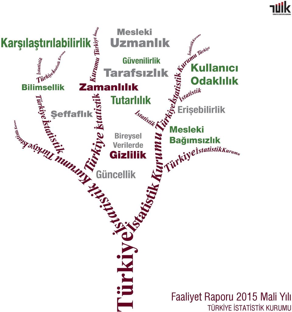 Erişebilirlik Mesleki Bağımsızlık Güncellik