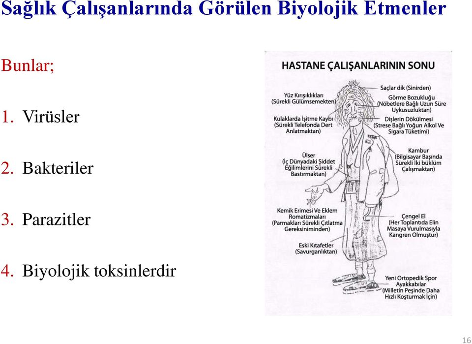 Virüsler 2. Bakteriler 3.