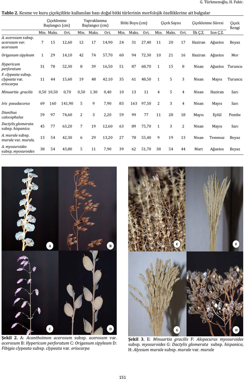 Z. Son Ç.Z. 7 15 12,60 12 17 14,90 24 31 27,40 11 20 17 Haziran Ağustos Beyaz Origanum sipyleum 1 29 14,10 42 74 57,70 60 94 72,30 10 21 16 Haziran Ağustos Mor Hypericum perforatum F. clypeata subsp.