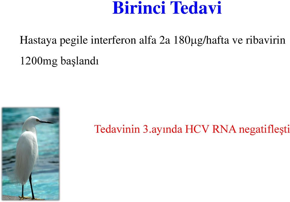 ve ribavirin 1200mg başlandı