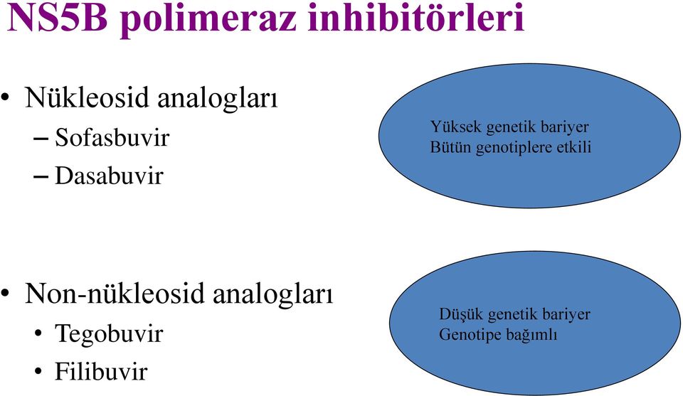 genotiplere etkili Non-nükleosid analogları