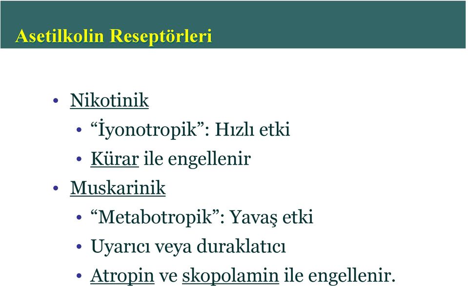 engellenir Muskarinik Metabotropik : Yavaş