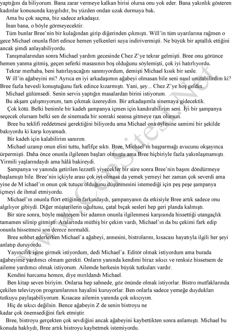 Will in tüm uyarılarına rağmen o gece Michael onunla flört edince hemen yelkenleri suya indirivermişti. Ne büyük bir aptallık ettiğini ancak şimdi anlayabiliyordu.