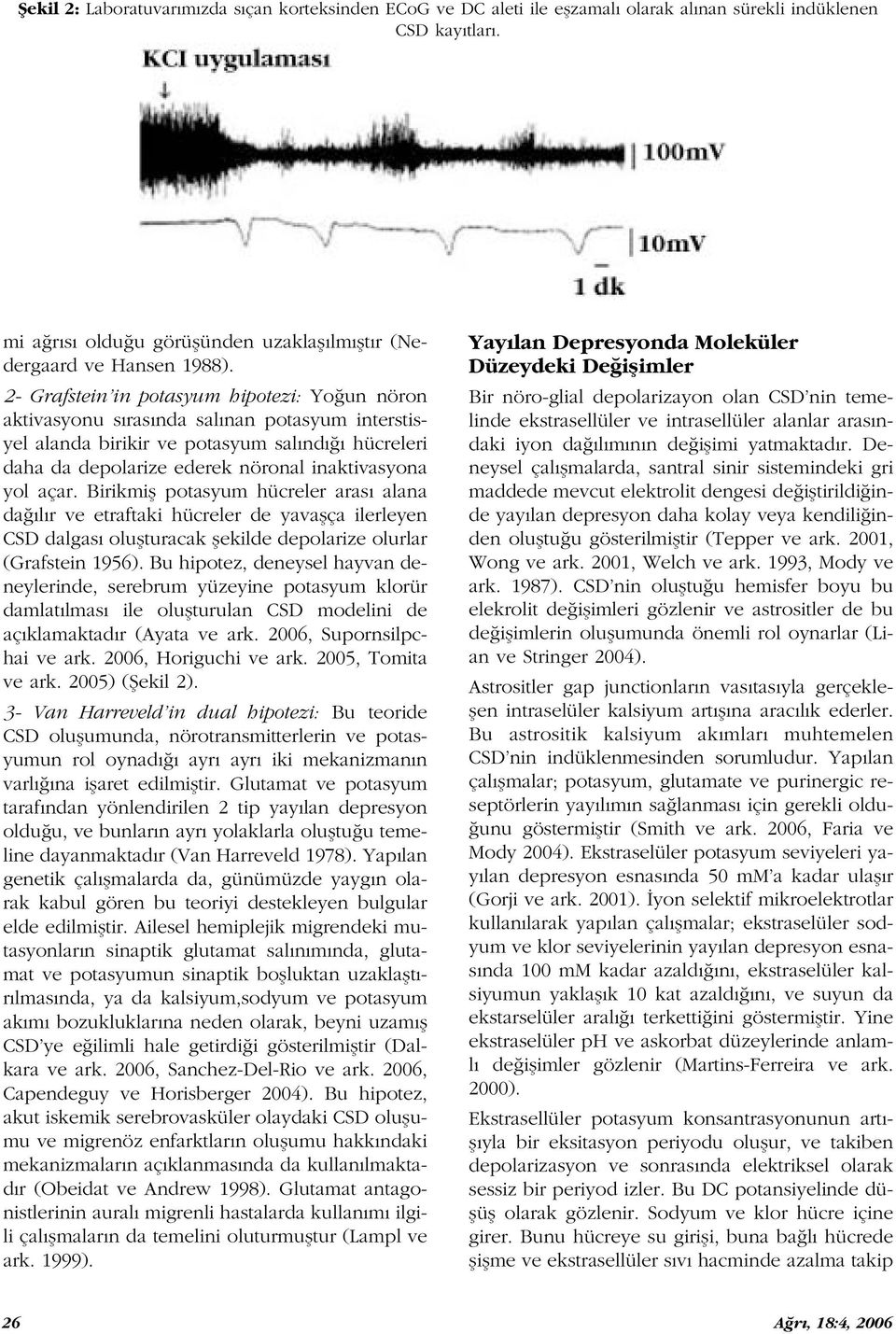 Birikmifl potasyum hücreler aras alana da l r ve etraftaki hücreler de yavaflça ilerleyen CSD dalgas oluflturacak flekilde depolarize olurlar (Grafstein 1956).