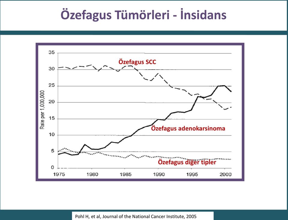 Özefagus diğer tipler Pohl H, et al,