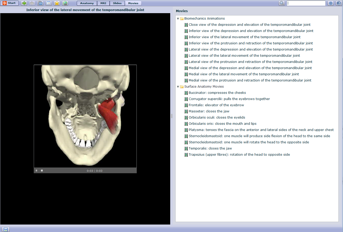 FİLM SEKMESİ Kas hareketlerinin 3D animasyonları Yüzey anatomisi filmleri Filmler ve animasyonlar, PowerPoint'te