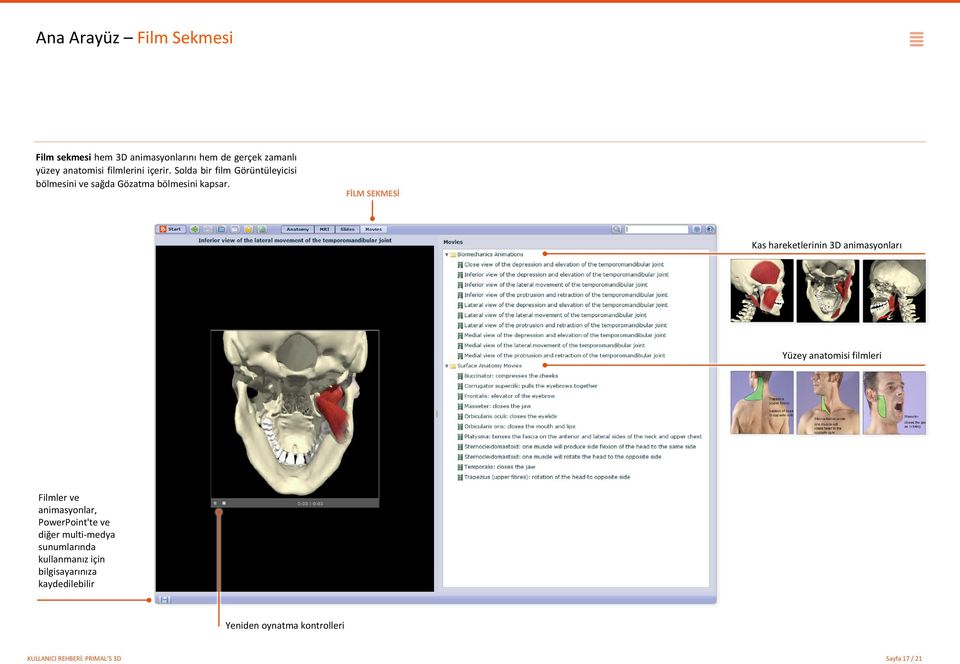 FİLM SEKMESİ Kas hareketlerinin 3D animasyonları Yüzey anatomisi filmleri Filmler ve animasyonlar, PowerPoint'te