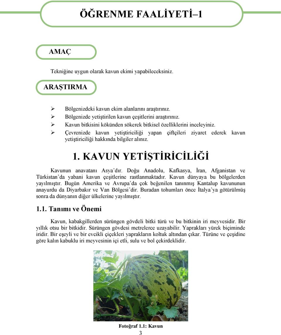 Çevrenizde kavun yetiştiriciliği yapan çiftçileri ziyaret ederek kavun yetiştiriciliği hakkında bilgiler alınız. 1. KAVUN YETİŞTİRİCİLİĞİ Kavunun anavatanı Asya dır.