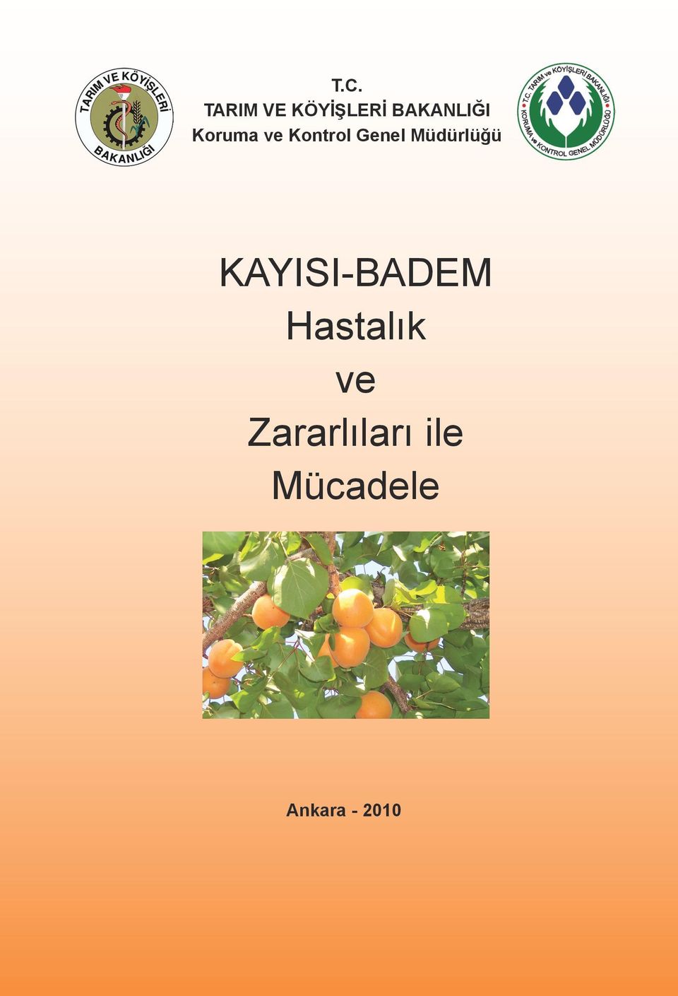 KAYISI-BADEM Hastalık ve