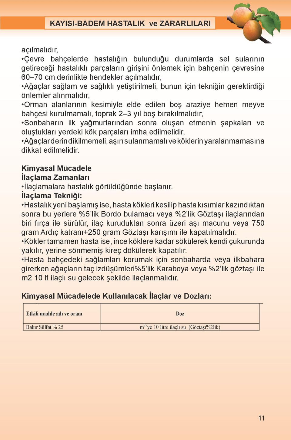 boş bırakılmalıdır, Sonbaharın ilk yağmurlarından sonra oluşan etmenin şapkaları ve oluştukları yerdeki kök parçaları imha edilmelidir, Ağaçlar derin dikilmemeli, aşırı sulanmamalı ve köklerin