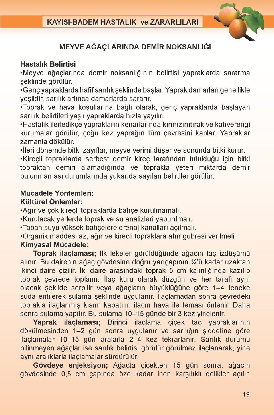 Hastalık ilerledikçe yaprakların kenarlarında kırmızımtırak ve kahverengi kurumalar görülür, çoğu kez yaprağın tüm çevresini kaplar. Yapraklar zamanla dökülür.