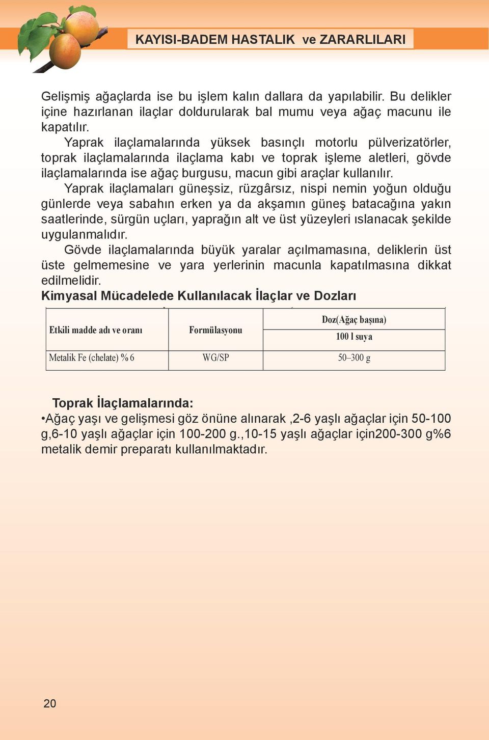 Yaprak ilaçlamaları güneşsiz, rüzgârsız, nispi nemin yoğun olduğu günlerde veya sabahın erken ya da akşamın güneş batacağına yakın saatlerinde, sürgün uçları, yaprağın alt ve üst yüzeyleri ıslanacak