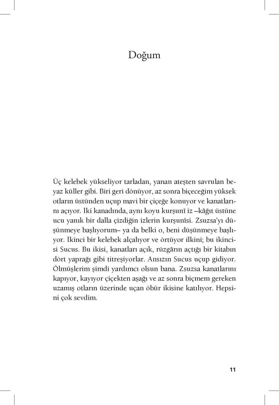 İki kanadında, aynı koyu kurşunî iz kâğıt üstüne ucu yanık bir dalla çizdiğin izlerin kurşunîsi. Zsuzsa yı düşünmeye başlıyorum ya da belki o, beni düşünmeye başlıyor.