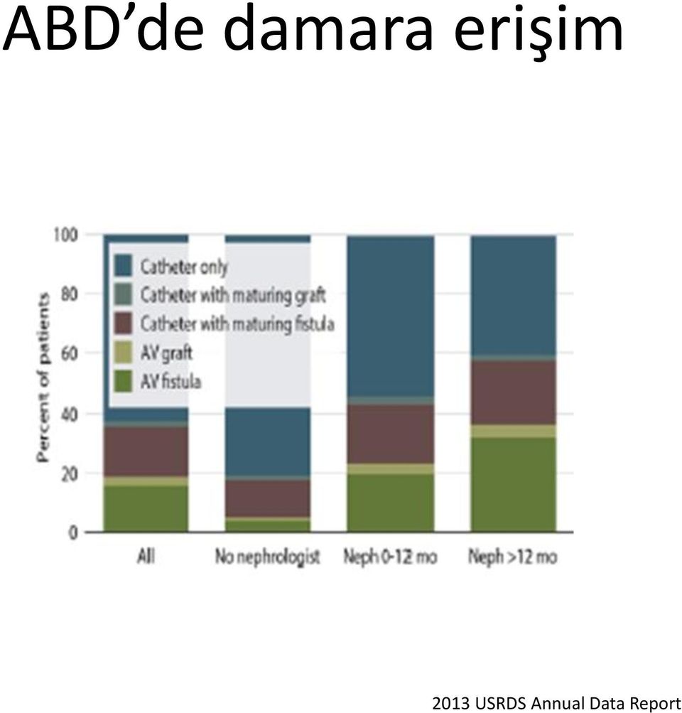 erişim 2013