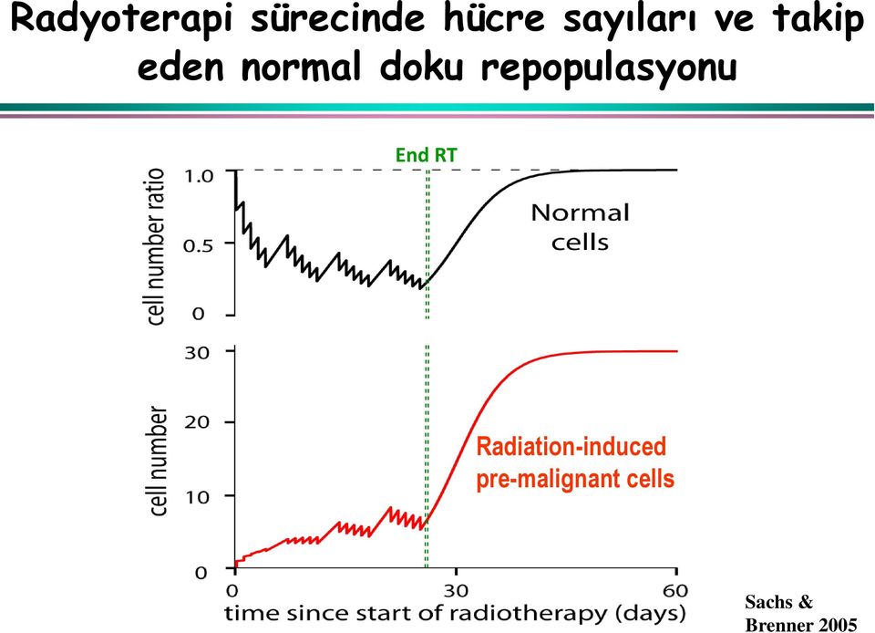 repopulasyonu End RT