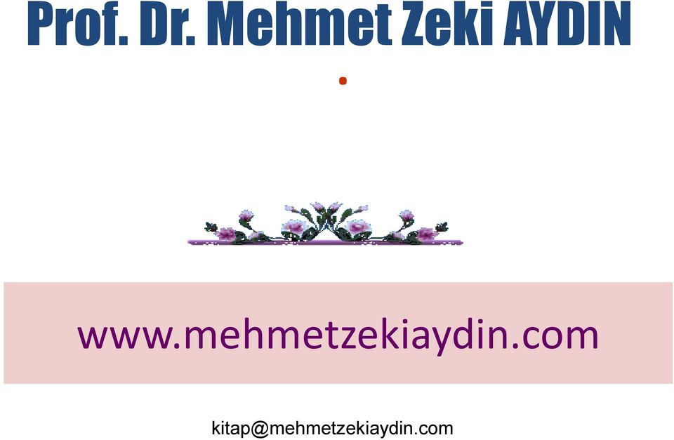 www.mehmetzekiaydin.