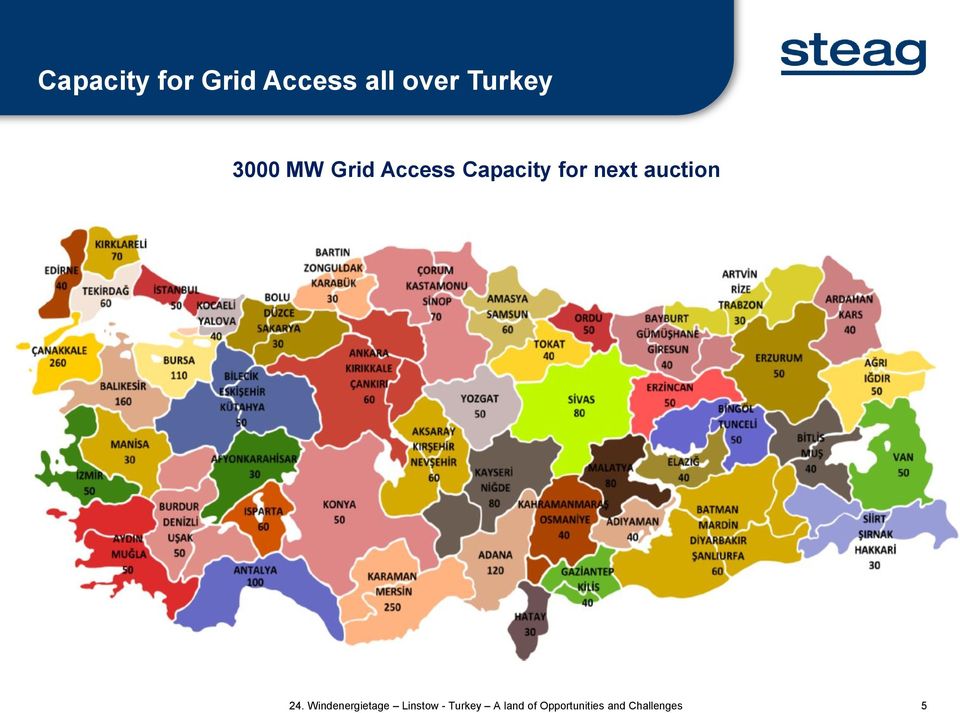 Grid Access Capacity for