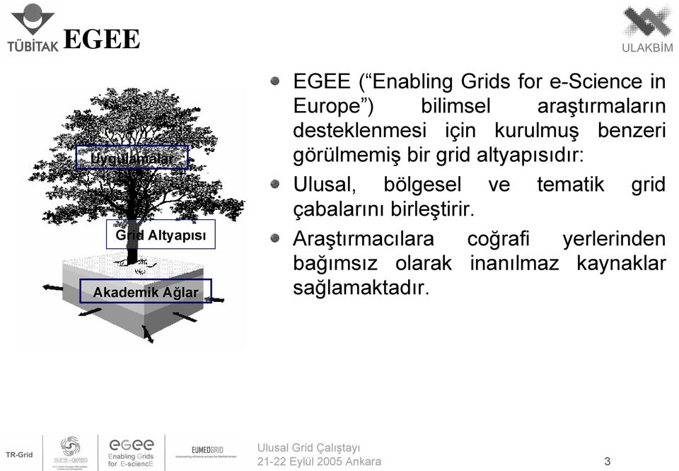 altyapısıdır: Ulusal, bölgesel ve tematik grid çabalarını birleştirir.