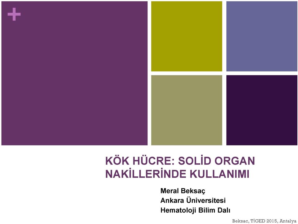Beksaç Ankara Üniversitesi