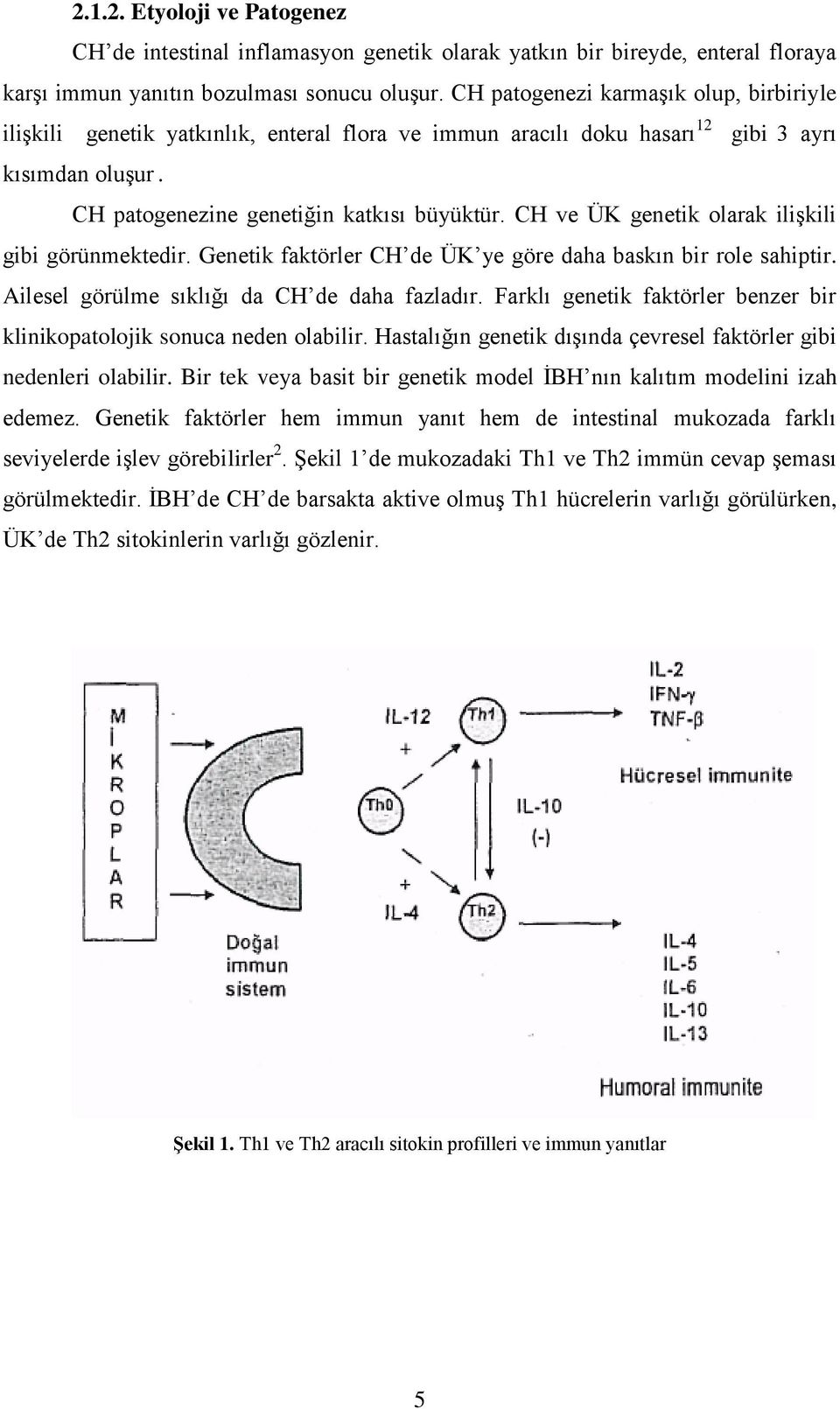 CH ve ÜK genetik olarak iliģkili gibi görünmektedir. Genetik faktörler CH de ÜK ye göre daha baskın bir role sahiptir. Ailesel görülme sıklığı da CH de daha fazladır.