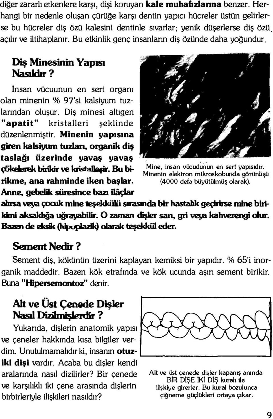 Bu etkinlik genç insanların diş özünde daha yogundur. Diş Minesinin Yapısı NaSıIdır? İnsan vücuunun en sert organı olan minenin % 97'si kalsiyum tuz larından oluşur.