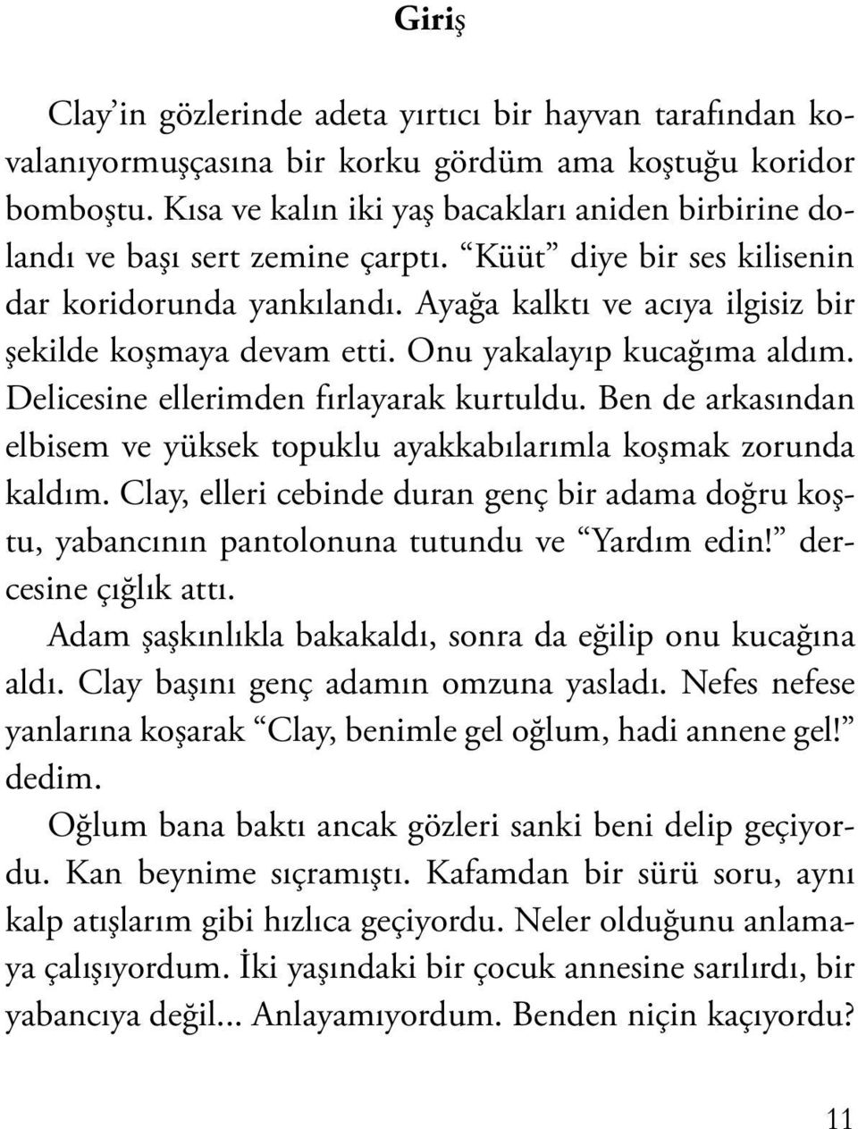 Ayağa kalktı ve acıya ilgisiz bir şekilde koşmaya devam etti. Onu yakalayıp kucağıma aldım. Delicesine ellerimden fırlayarak kurtuldu.