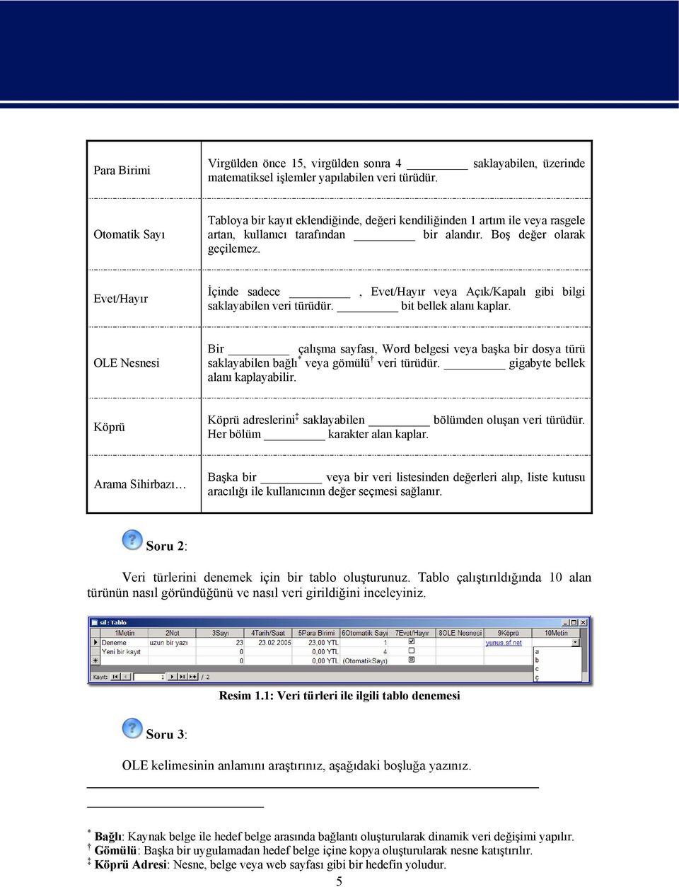 Evet/Hayır İçinde sadece, Evet/Hayır veya Açık/Kapalı gibi bilgi saklayabilen veri türüdür. bit bellek alanı kaplar.