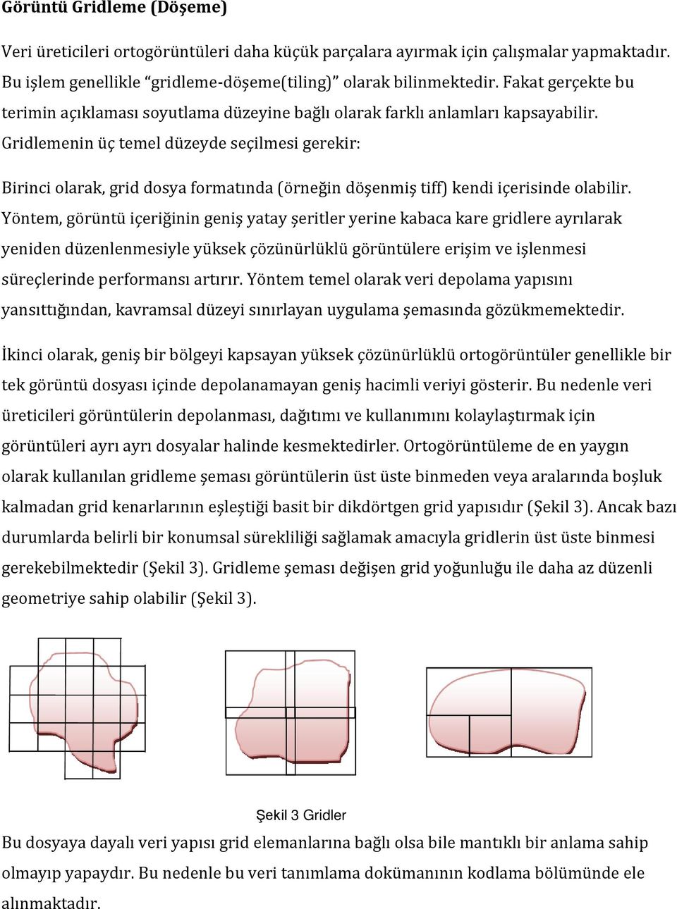 Gridlemenin üç temel düzeyde seçilmesi gerekir: Birinci olarak, grid dosya formatında (örneğin döşenmiş tiff) kendi içerisinde olabilir.