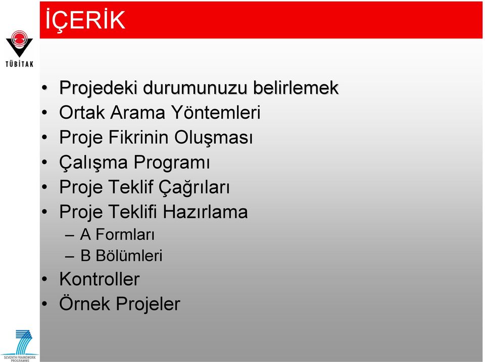 Fikrinin Oluşması Çalışma Programı Proje Teklif Çağrıları