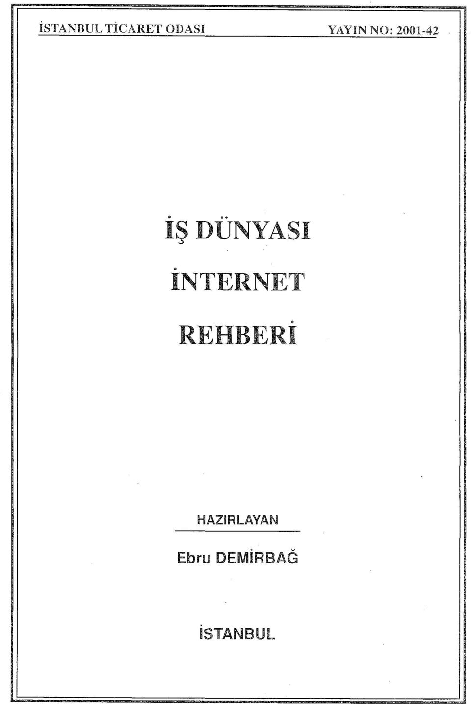 .. IŞ DUNYASI. INTERNET.