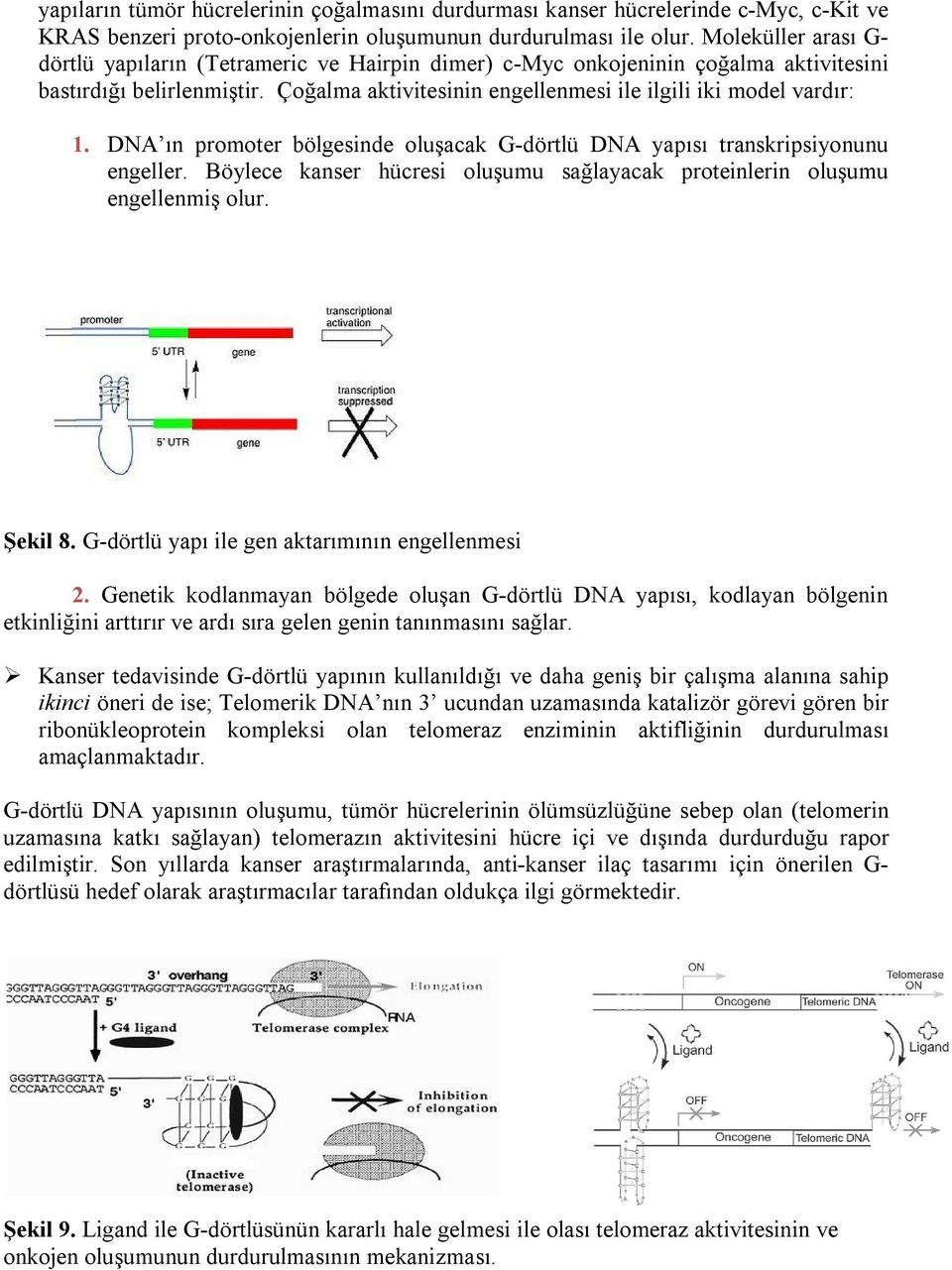 DA ın promoter bölgesinde oluşacak G-dörtlü DA yapısı transkripsiyonunu engeller. Böylece kanser hücresi oluşumu sağlayacak proteinlerin oluşumu engellenmiş olur. Şekil 8.