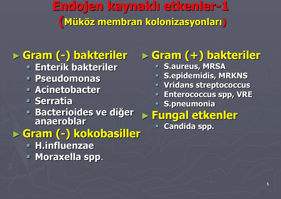 epidemidis, MRKNS Vridans streptococcus Acinetobacter Enterococcus spp, VRE Serratia S.