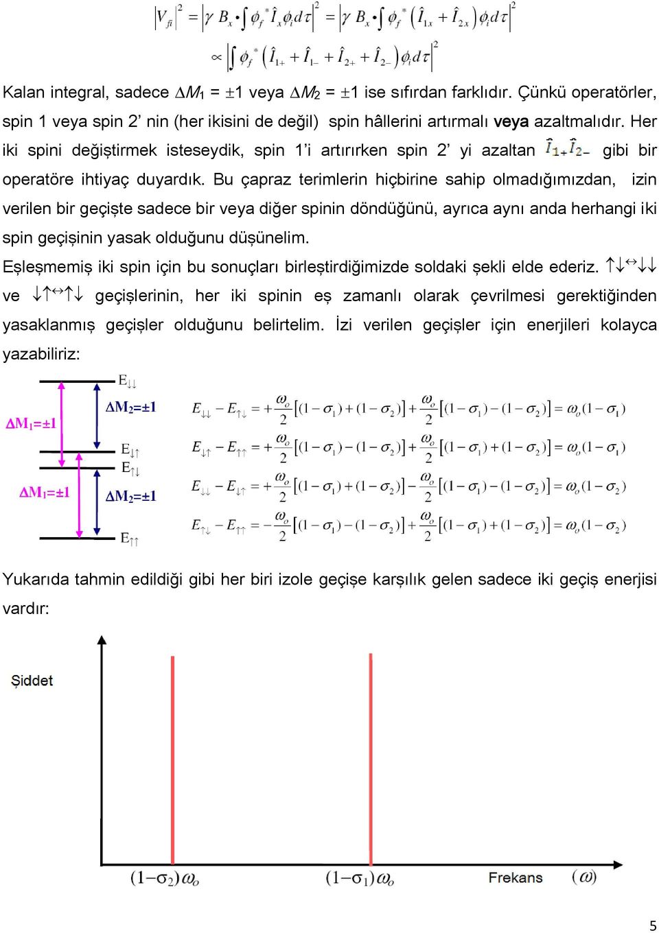 Bu çapraz terimlerin hiçbirine sahip olmadığımızdan, izin verilen bir geçişte sadece bir veya diğer spinin döndüğünü, ayrıca aynı anda herhangi iki spin geçişinin yasak olduğunu düşünelim.