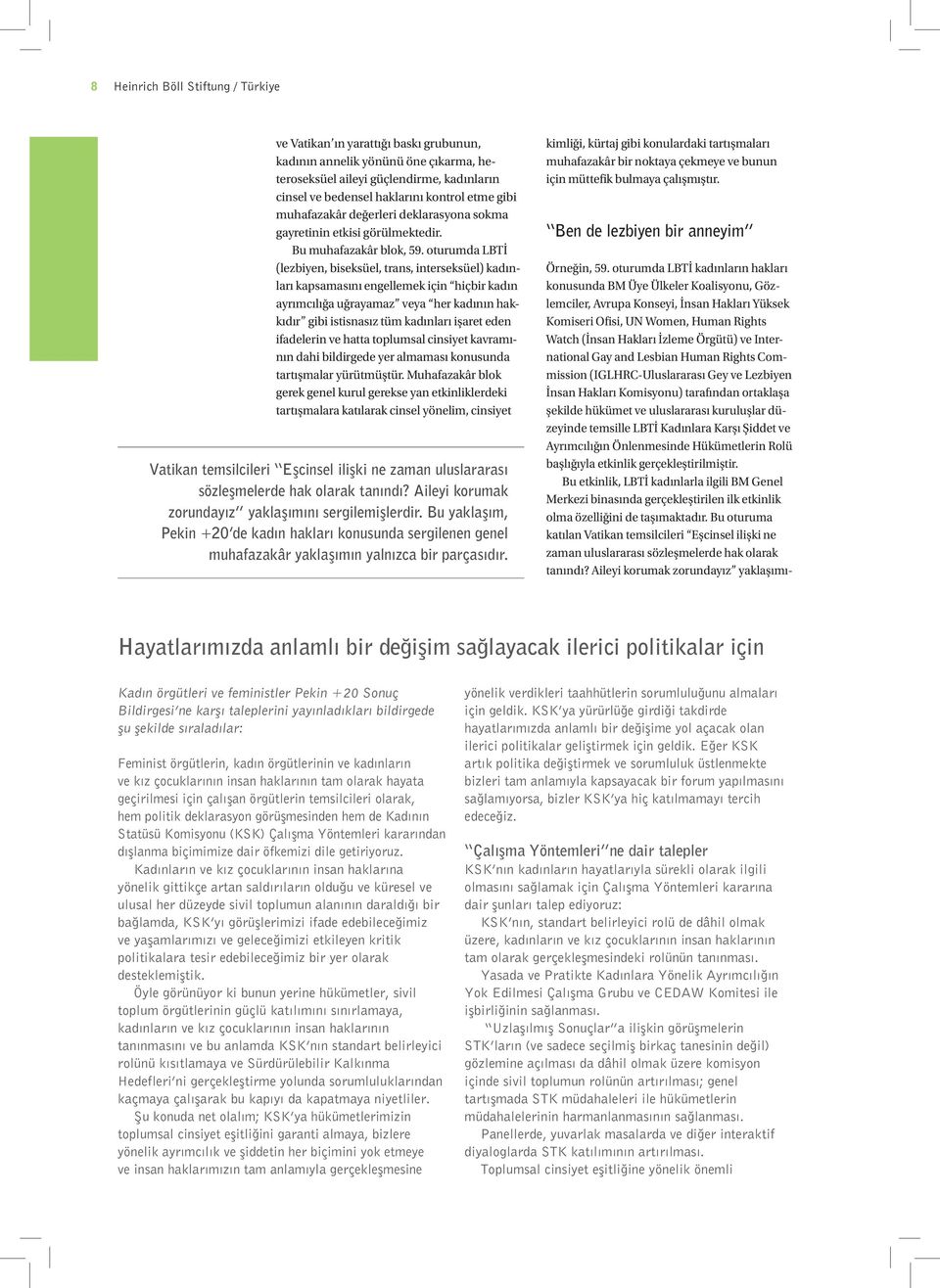 International Gay and Lesbian Human Rights Commission (IGLHRC-Uluslararası Gey ve Lezbiyen İnsan Hakları Komisyonu) tarafından ortaklaşa şekilde hükümet ve uluslararası kuruluşlar düzeyinde temsille