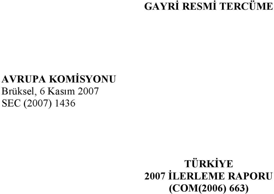 2007 SEC (2007) 1436 TÜRKİYE