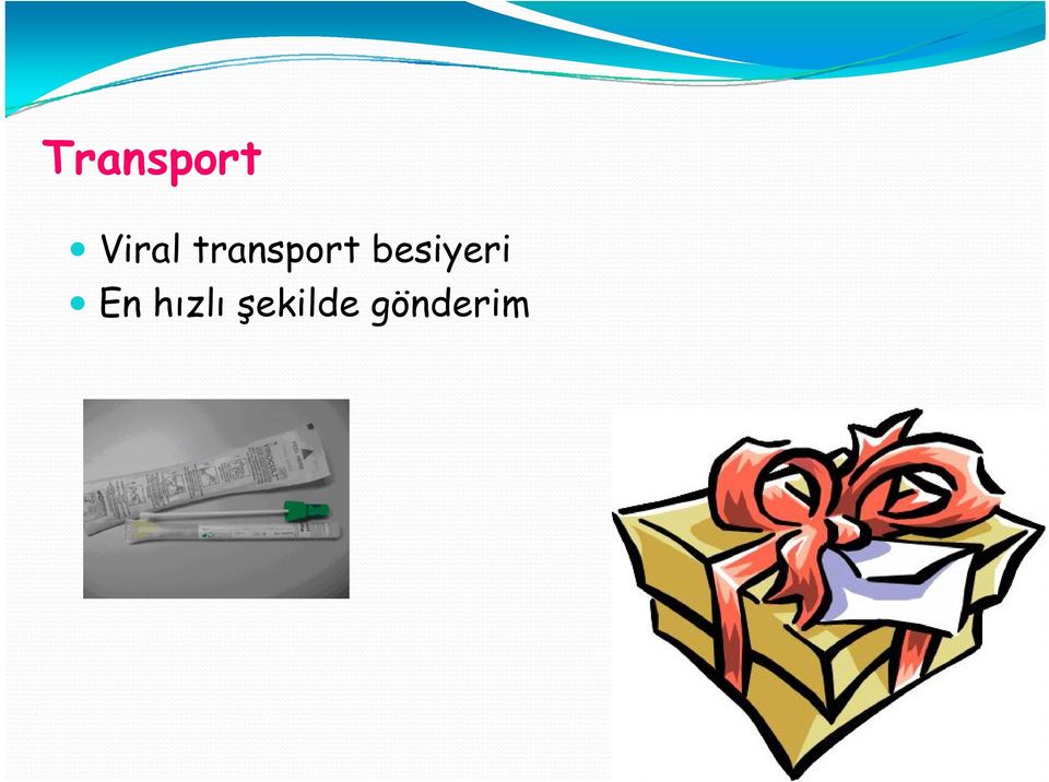 transport