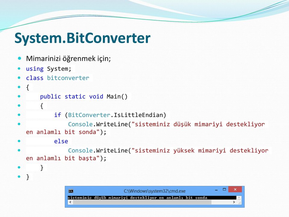 public static void Main() { if (BitConverter.IsLittleEndian) Console.