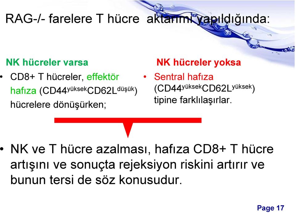 (CD44 yüksek CD62L yüksek ) tipine farklılaşırlar.