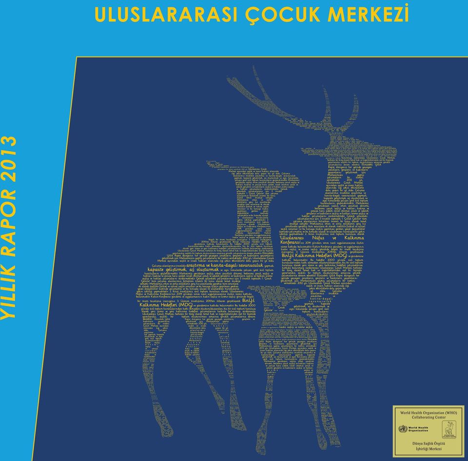 Çalışma alanlarımız öncelikle araştırma ve kanıta-dayalı savunuculuk yapmak, kapasite geliştirmek, ağ oluşturmak ve a y n ı konularda çalışan yerel sivil toplum kuruluşlarını güçlendirmektir.